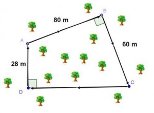 Parcours d'endurance