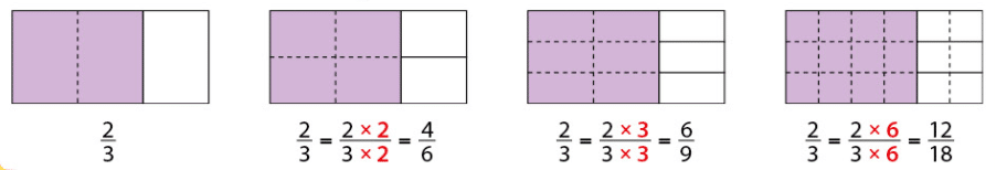Proportions and fractions