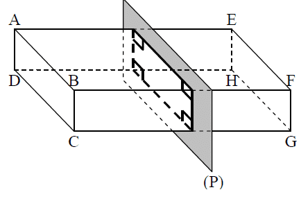 section d'un parallélépipède rectangle.