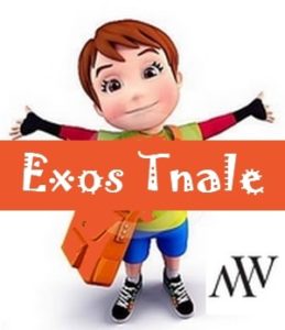 exercices maths tnale